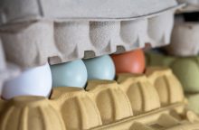 Test čerstvosti vajec, jak poznat čerstvá vejce, vejce, potravina, Životnost vajec, trvanlivost vajec
