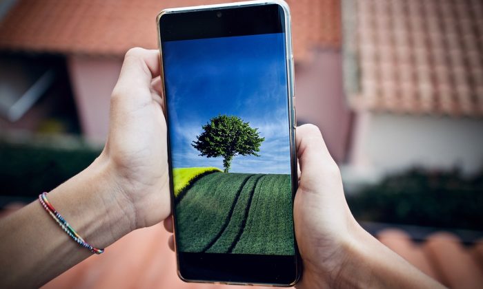 Telefon příroda